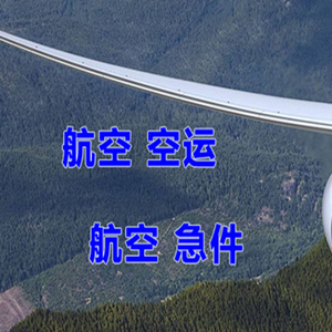 大理凤仪航空邮寄快递-选东方航空和上海航空