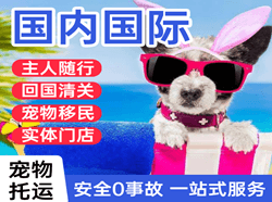 大理凤仪航空邮寄国际宠物托运 【国
